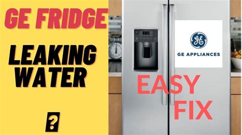 ge fridge water dispenser leaking|Refrigerator